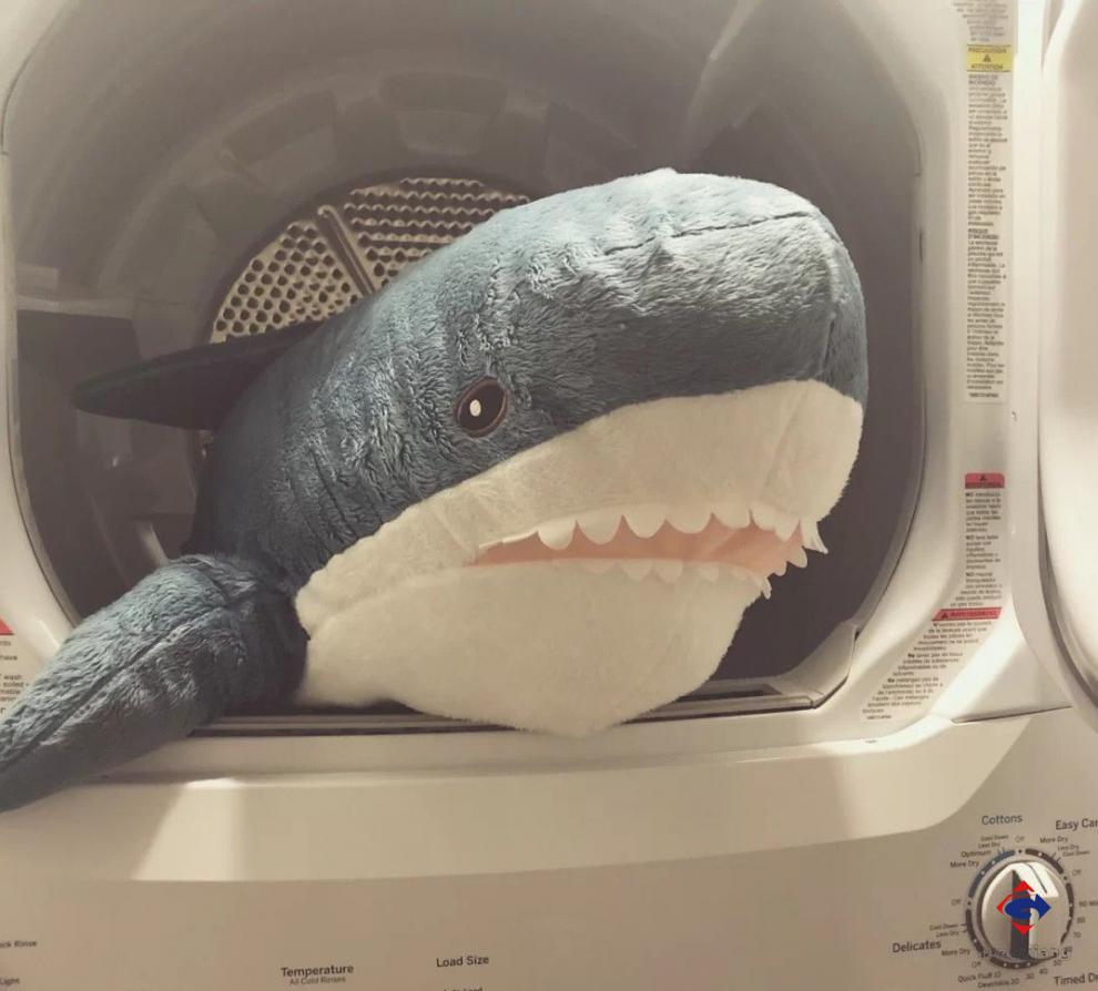 洗衣机鲨鱼公仔图片图片