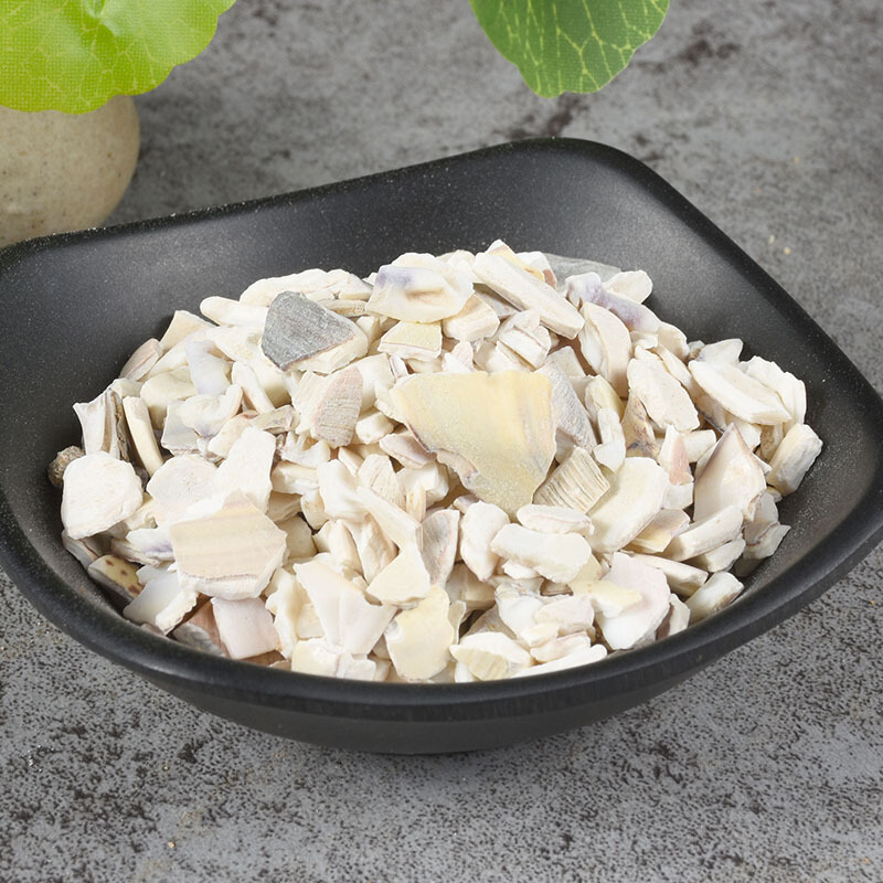 天然蛤壳海蛤壳文蛤海蛤壳500克