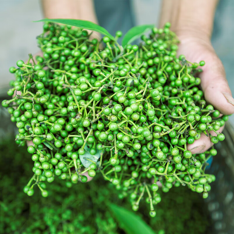 2021重庆特产干山胡椒现摘现发木姜子山苍子粒香味浓郁1000g