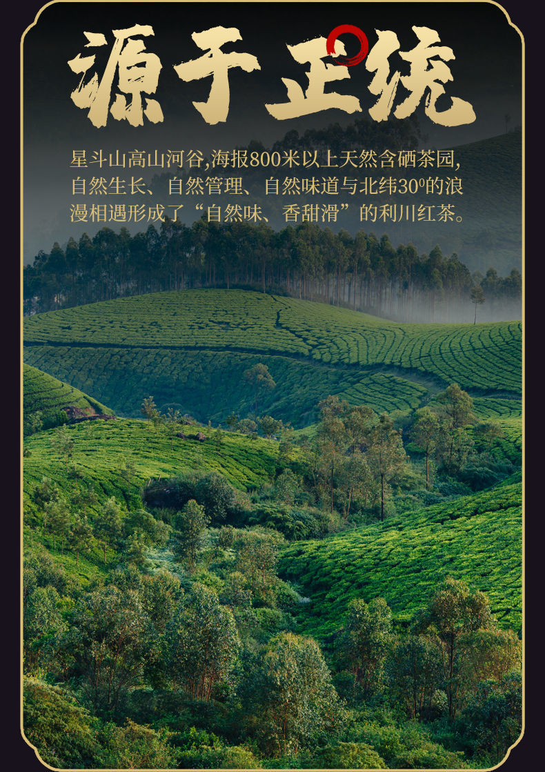 恩施茶硒茶叶2021新茶特级高山云雾茶正宗工夫红茶浓香耐泡h1500g