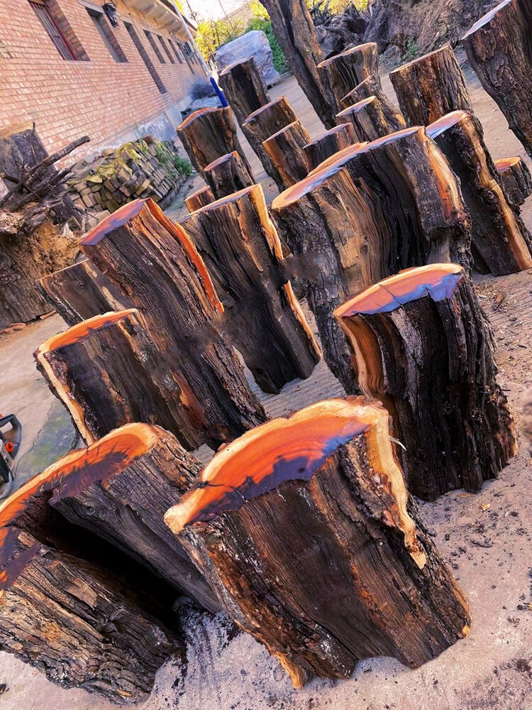 微韵 真正雷击枣树原木活树伐开料 雷劈枣木自然雷痕 道教实用 原木段