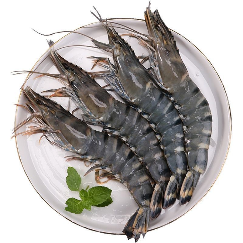 【冷链速运】越南黑虎虾大虾海虾超大特大号鲜活速冻生呛生吃腌制香津