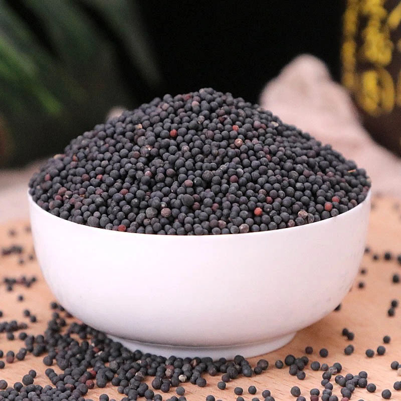 北京同仁堂原料王不留行中药下奶追奶通草王不留行粉王不留行草药无硫