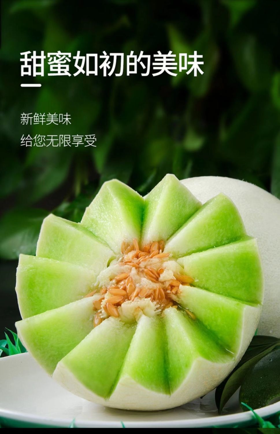 夕张王甜瓜 甜瓜玉茹蜜瓜 新鲜应季水果 超甜薄皮脆瓜香瓜 整箱9-10斤