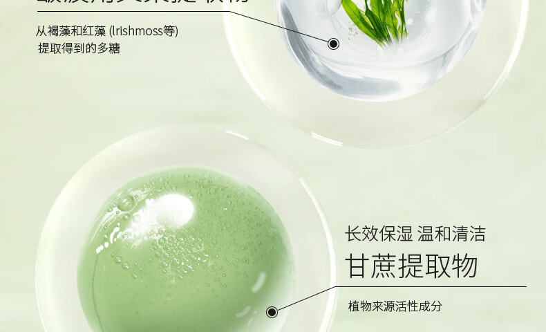 娇润泉氨基酸洗面奶祛痘深层清洁毛孔控油洁面乳小杨哥七老板推荐 100g1支装