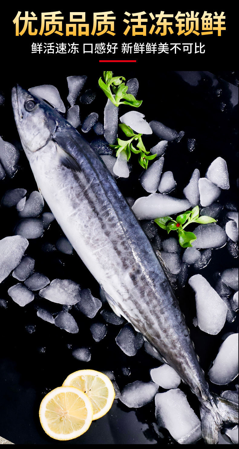 5斤顺丰青岛大鲅鱼新鲜冷冻马鲛鱼鲜活海鲜鱼鲅鱼馅咸鲅鱼七天价保
