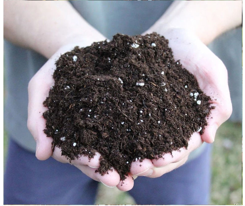 花泥种花土壤春畔精品月季玫瑰专用土壤花土营养土养花种植通用花泥
