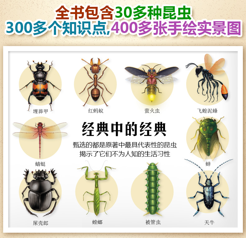 儿童书籍3-9岁少儿科普百科读物 宝宝故事书昆虫全彩绘本