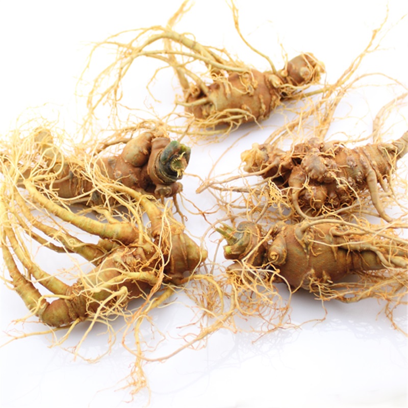 大菜园 新鲜三七 田七 三七 新鲜采摘 云南文山 新鲜三七 15个500g