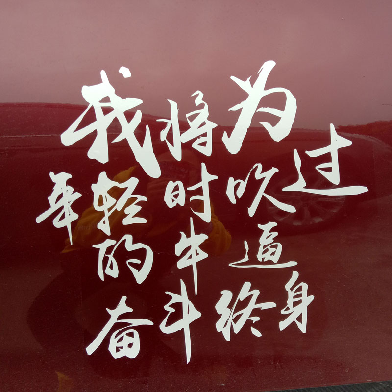 帝图车贴我将为年轻时吹过的牛逼奋斗终身励志个性创意汽车贴纸车门