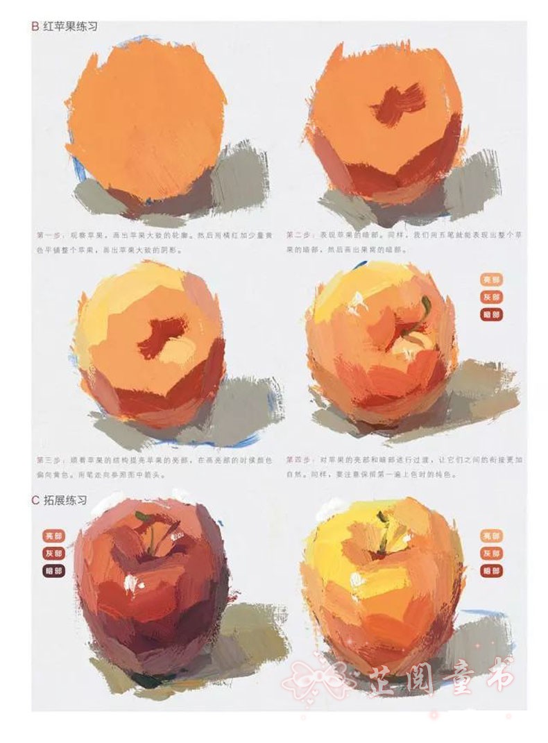 敲门砖绘画入门正规教程从单体到色彩静物水粉画零基础入门名师教你画