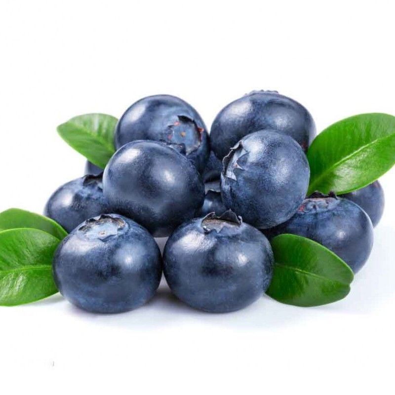 【新鲜蓝莓大果500g】