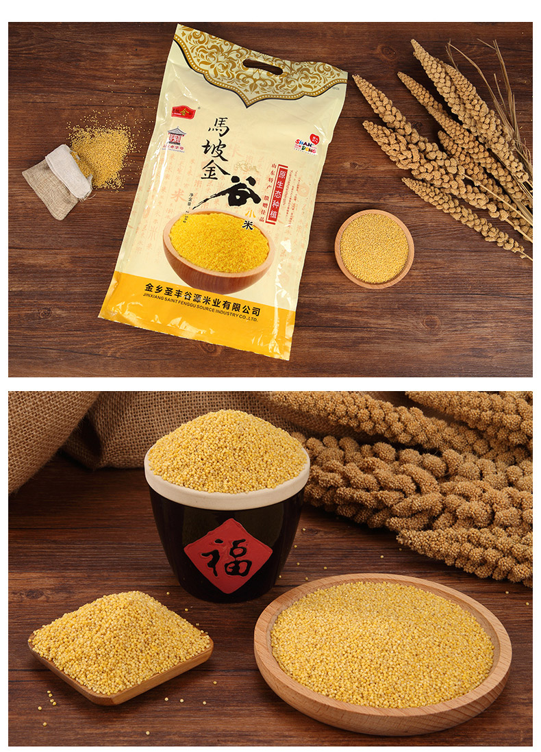 马坡金谷 山东老字号济宁特产 新黄小米 粗粮杂粮 月子米 2.
