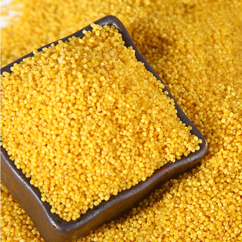 朝阳小米 东北杂粮 月子米 熬粥粘 米油大 吃着香 400g