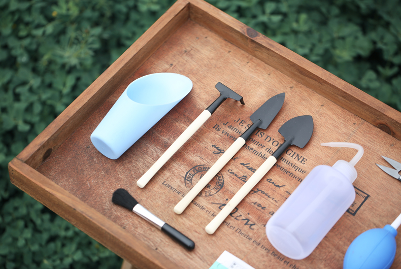 天诺园艺 多肉植物种植工具套装新手多肉套装组合园艺工具组合套装