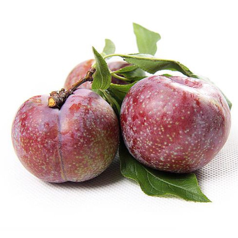 19.8元 广东三华红心李子