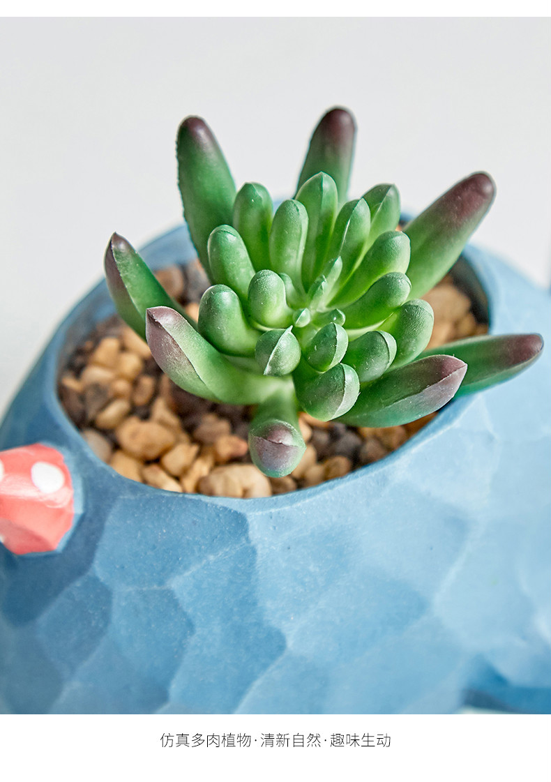 ins北欧仿真多肉植物小盆栽桌面仙人掌室内置物架装饰品绿植摆件 鳄