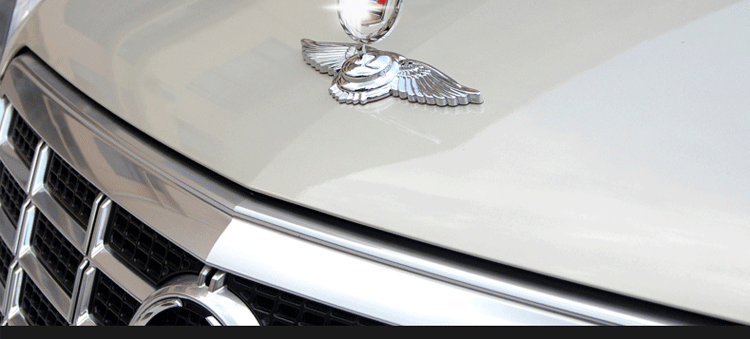 铧莱速 汽车机头标机盖立标 改装汽车专用标贴 专车专用机盖标翅膀标