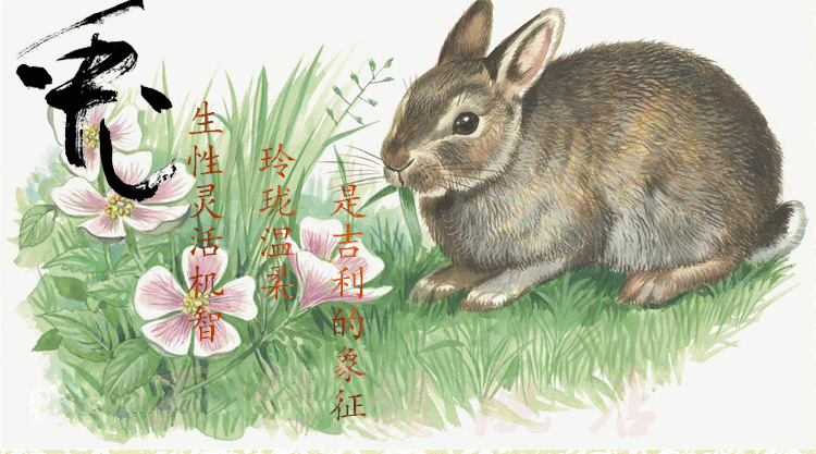 办公室风水摆件 黑檀木精雕兔子高18c品牌: 万传(wan chuan) 商品名称