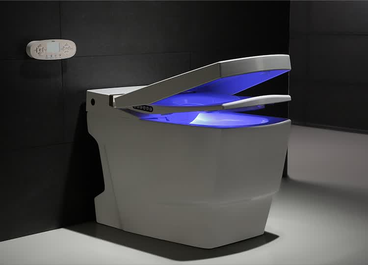 维卫(vivi) 卫浴智能马桶加拉帕尔系列即热式无水箱带遥控器一体式坐