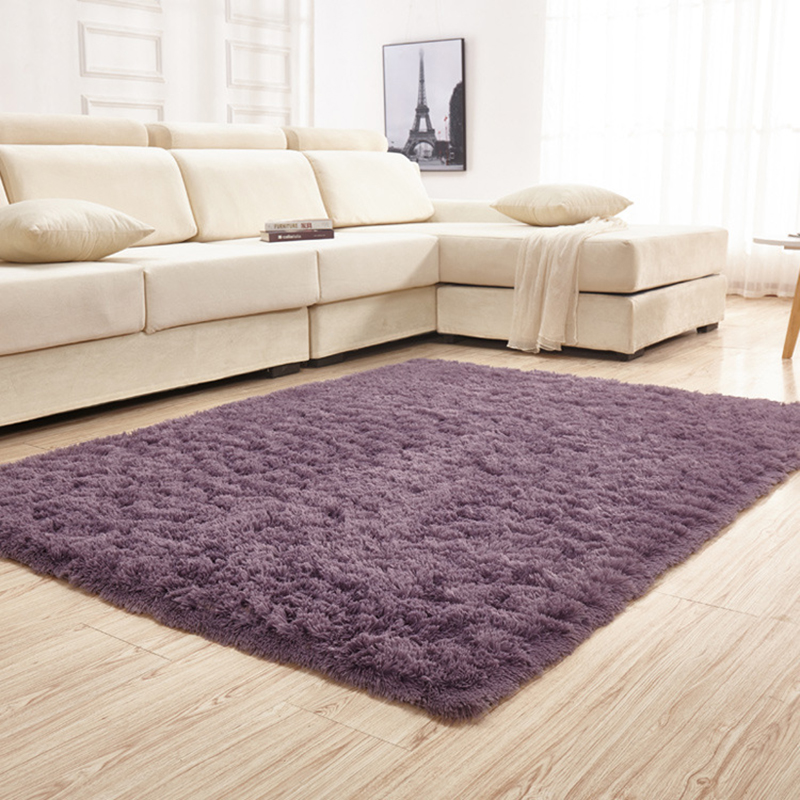 地毯客厅茶几卧室床边毯100*160cm