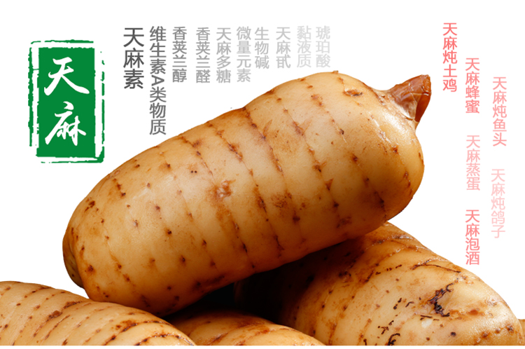 云南昭通天麻彝良小草坝天麻新鲜蔬菜补品大个天麻每斤约68个500g