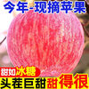 Erdie Shaanxi Red Fuji Apple Fresh Fruit 10kg Rock Candy Heart Seasonal Ugly Apple Seasonal Fruit Crisp Sweet Whole Box Selected 3kg Pack Net Weight 2.8kg 70-75mm