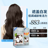 Bigen Meiyuan Xuanruo Hair Recovery Rapid Black Hair Cream 160g (Dark Brown 883s) Domestic Added Plant Extract Covering White