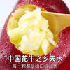 Gift Box Authentic Gansu Tianshui Huaniu Apples, Damaged Fruits Included, Color Box, Net 4.5 Jin, Large Fruits 80-84mm