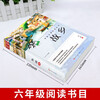 Hometown Genuine Lu Xun Primary and Secondary School Students Grade 3, 4, 5, 6 and 7 Extracurricular Books People's Literature Publishing House Chinese Literature Classics Youth Reading Story Books