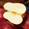 Jingxiansheng Gansu Tianshui Huaniu apple, big and red, net weight 6 pounds, single fruit more than 240g, fresh fruit