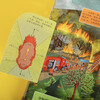 18 yuan off for orders over 87. Revealing the secrets of natural disasters (popular science flipping book for children aged 5-10) Le Fun Children’s Book Revealing Series Children’s Enlightenment Popular Science Pop-up Books Children’s Book Festival Children’s Day