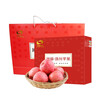 Luochuan Apple Shaanxi Yan'an Red Fuji Apple Fruit Fresh Gift Box Gift Box 15 85mm Large Fruit Apple Seasonal Fruit 15 Pieces 85