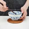 Minoware imported from Japan underglaze colored ceramic bowls and plates 6-piece tableware set