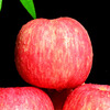 Apple City Yantai Apple Fruit Red Fuji Apple Fresh Crisp Sweet Whole Box Seasonal Fresh Fruit Shandong Specialty Flat Fruit Net Weight 8.5 Jin 85mm