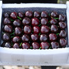 Spot Meizao cherry large cherry fresh Chilean imported cherry fruit seasonal gift box for pregnant women 1500g (net weight) large fruit J26-28mm
