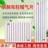 Xuan Sheng radiator household water heating radiator household steel water heating living room bedroom steel two-column type modern 5025 type - center distance 30 cm (single column price