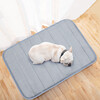 Pilot Pet Dog Mat Cat Dog Nest Sleeping Mat Mattress Spring, Summer, Autumn and Winter Four Seasons Special Floor Mat Supplies 40*60cm