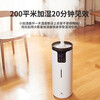 Bures German Bures air humidifier home bedroom floor-standing living room large area large fog volume large capacity sterilization purification office industrial commercial large spray humidification intelligent sterilization version