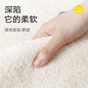 DeXi living room carpet, bedroom large area thickened light luxury high-end home carpet living room machine washable 140x200cm