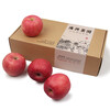 Guangxing Orchard Shandong Red Fuji Apple Yantai Specialty Fresh New Year's Holiday Fruit Gift Box Gift Welfare 80mm 15 pcs