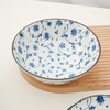 Minoware imported from Japan underglaze colored ceramic bowls and plates 6-piece tableware set
