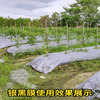 Silver and black two-color mulch film, new material, thickened insect-proof reflective mulch film, weeding film, thermal insulation agricultural mulch film, silver and black 10 pounds, 1.2 silk, thick, 1.2 meters wide, 260 meters long