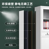 Lixuan File Cabinet Iron Cabinet Steel Office Cabinet Finance Office File Cabinet Iron Data Cabinet Short Cabinet Locked Voucher Cabinet Large Equipment File Cabinet Thickened