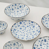 Minoware imported from Japan underglaze colored ceramic bowls and plates 6-piece tableware set