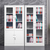 Lixuan File Cabinet Iron Cabinet Steel Office Cabinet Finance Office File Cabinet Iron Data Cabinet Short Cabinet Locked Voucher Cabinet Large Equipment File Cabinet Thickened