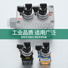 Sweideer key switch power lock 30MM opening second gear third gear self-restoring self-locking key switch transfer switch second gear (A type) self-locking (right twist lock) two open and two closed