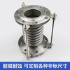 Chengjia stainless steel industrial compensator, expansion joint, bellows connector DN50__30cm length