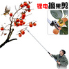 Jiehong's fruit-picking artifact, telescopic high-branch shears, high-altitude shears for gardens, special for picking lychees, longans, toon, fruit-picking scissors, lithium-ion fruit-picking pruning shears 130-2 meters