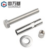Guwanji 304 stainless steel expansion bolt 8mm internal explosion external hexagonal expansion screw built-in pull-explosion 6mm M6x60 (2 pieces - 8mm drilling) 304 material